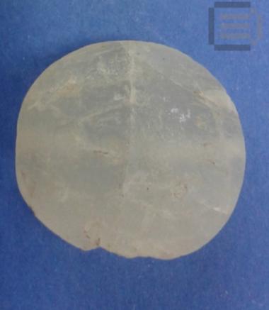 Φακόσχημος σφραγιδόλιθος