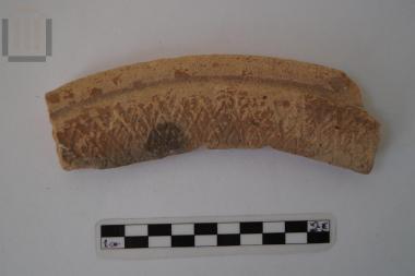 Τμήμα λεκανίδας