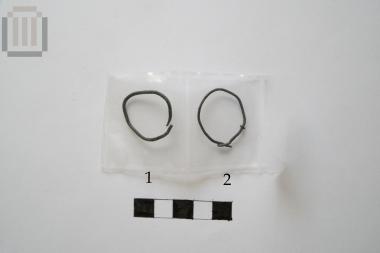 Bronze earring