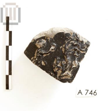 Megarian bowl [sherd]