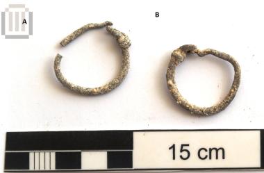 Earring