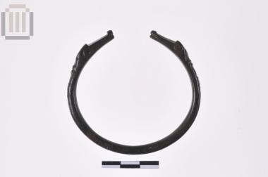 Χάλκινο περικάρπιο