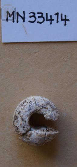 Glass paste bead