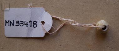 Glass paste bead