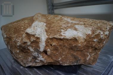 Γωνιακό απότμημα σαρκοφάγου