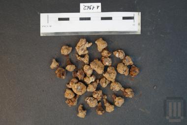 Καρφάκια φορείου