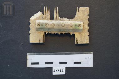 Χτένι κόμης