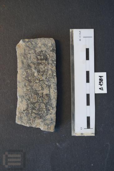 Τμήμα ακονιού