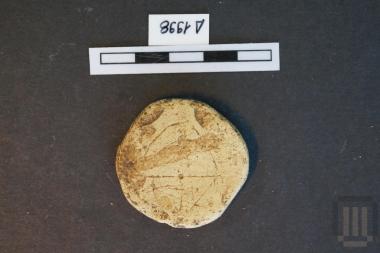 Οστέινο δισκάριο