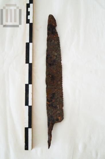 Τμήμα από πριόνι