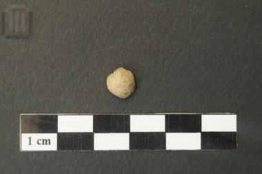 Χάντρα-ψήφος