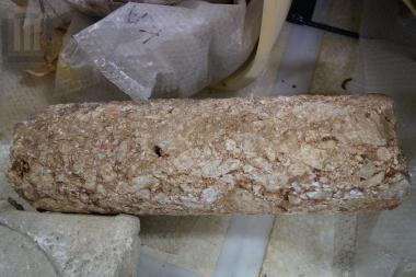 Τμήμα κίονα