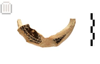 Σκυφίδιο με εμπίεστη διακόσμηση [τμήμα]