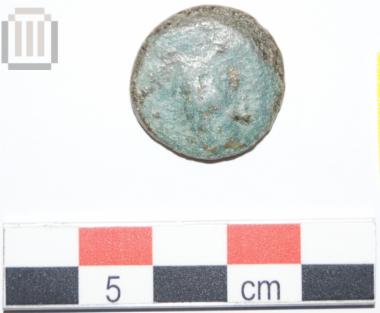 Bronze coin of Pharsalos