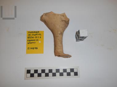 Τμήμα κύλικας