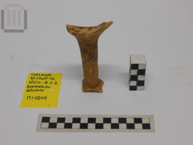 Τμήμα κύλικας