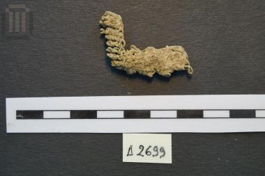 Fragment of a shoe chain