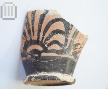 Τμήμα αγγείου