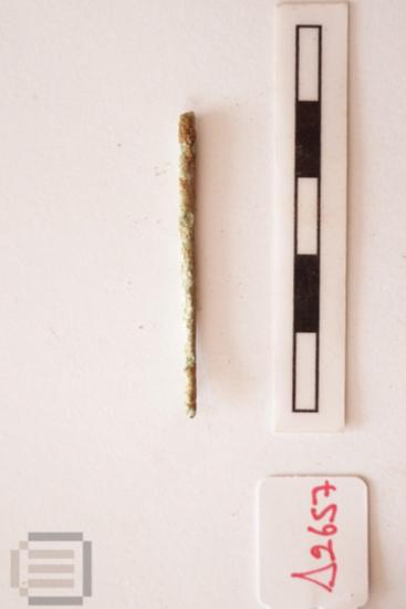 Needle