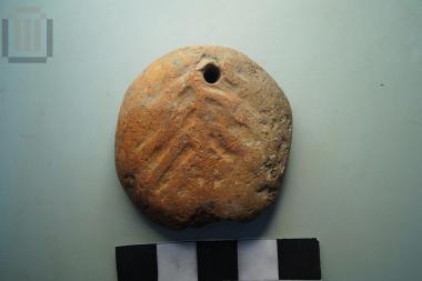 Αρτόσχημη αγνύθα