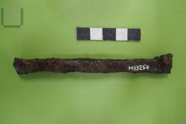 Σιδερένιο στέλεχος