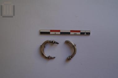 Pair of earrings