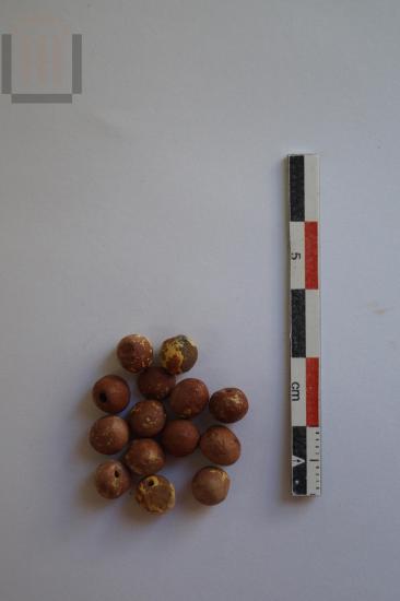 Beads of necklace