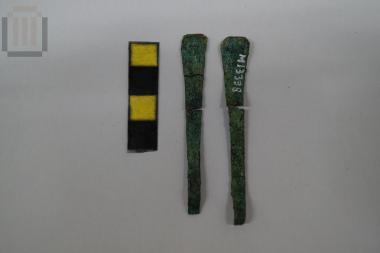 Τριχολαβίδα