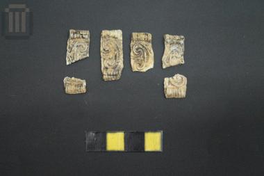 Πλακίδια περιδεραίου