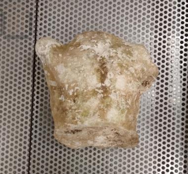 Torso of a male statue