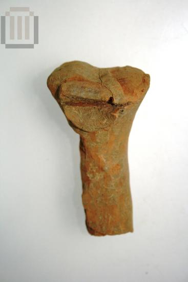 Clay cerberus figurine part