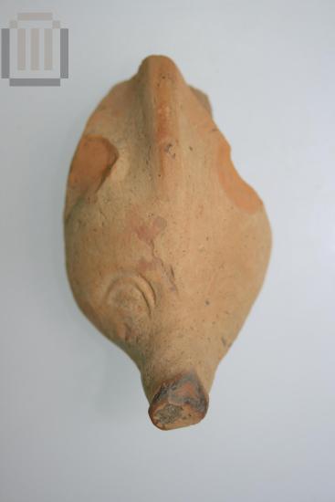 Clay pig figurine head