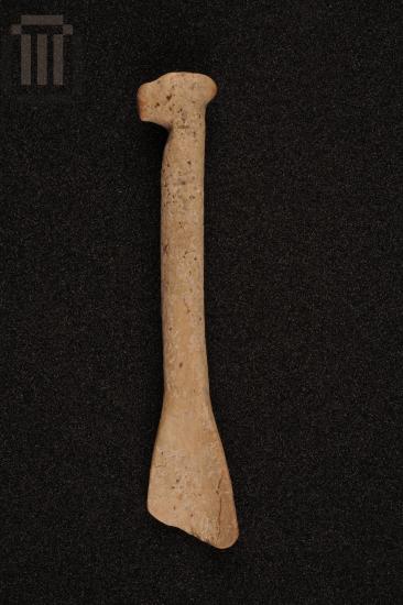 Bone spoon