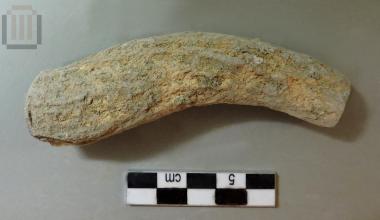 Horn with signs of human processing