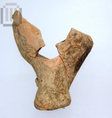Clay pig figurine head