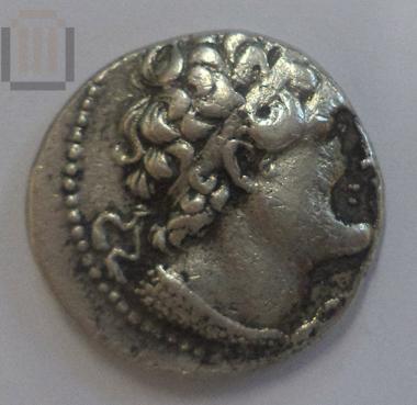 Νόμισμα Πτολεμαίου ΣΤ΄