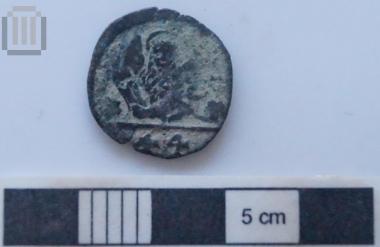 Νόμισμα