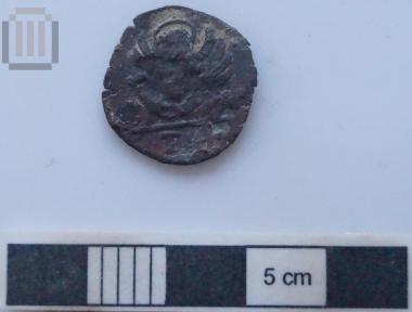 Νόμισμα