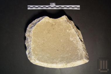 Τμήμα ιγδίου