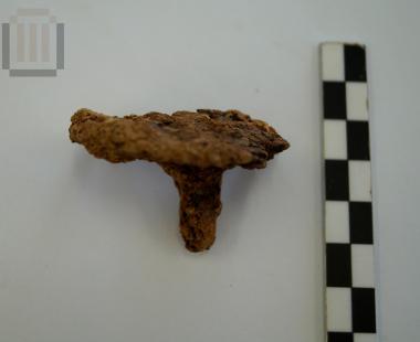 Σιδερένιο καρφί