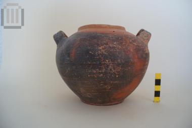 Σώμα πυξίδας