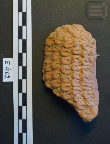 Fragment of an animal figurine