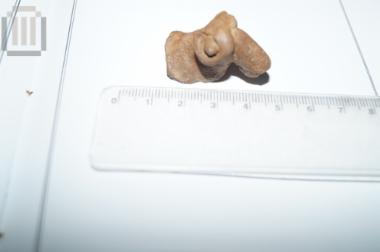 Part of a figurine