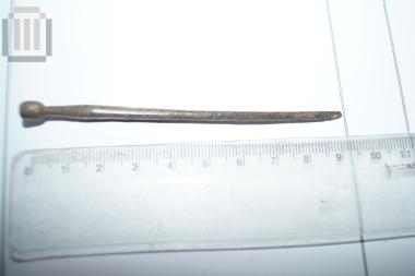Fibula