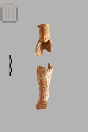 Πλαστικό αγγείο