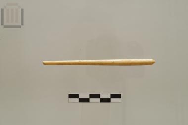 Bone pin