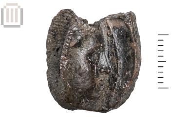 Clay sealing from Gitana