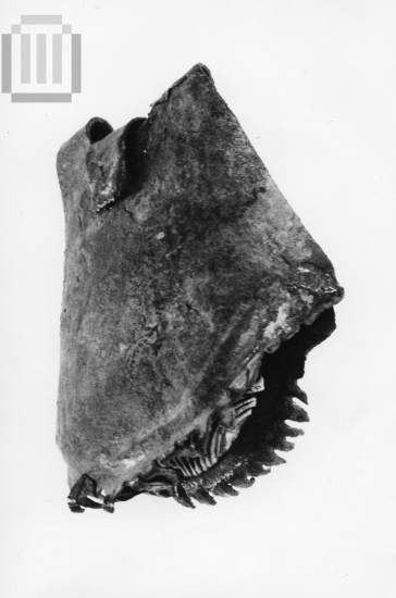 Βλέφαρο Αγάλματος