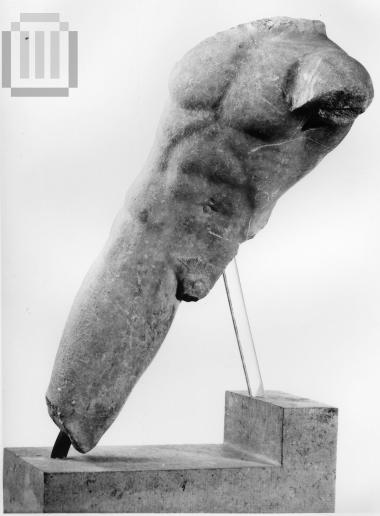 Κορμός πολεμιστή