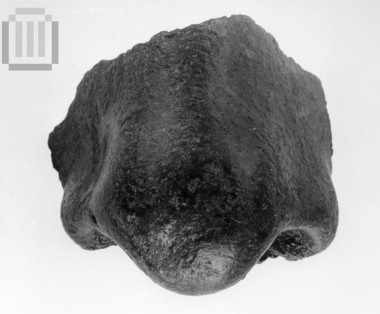 Nose of a human statue.